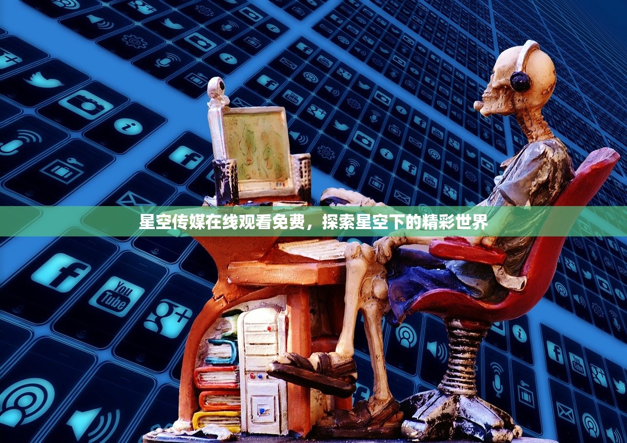 星空传媒在线观看免费，探索星空下的精彩世界