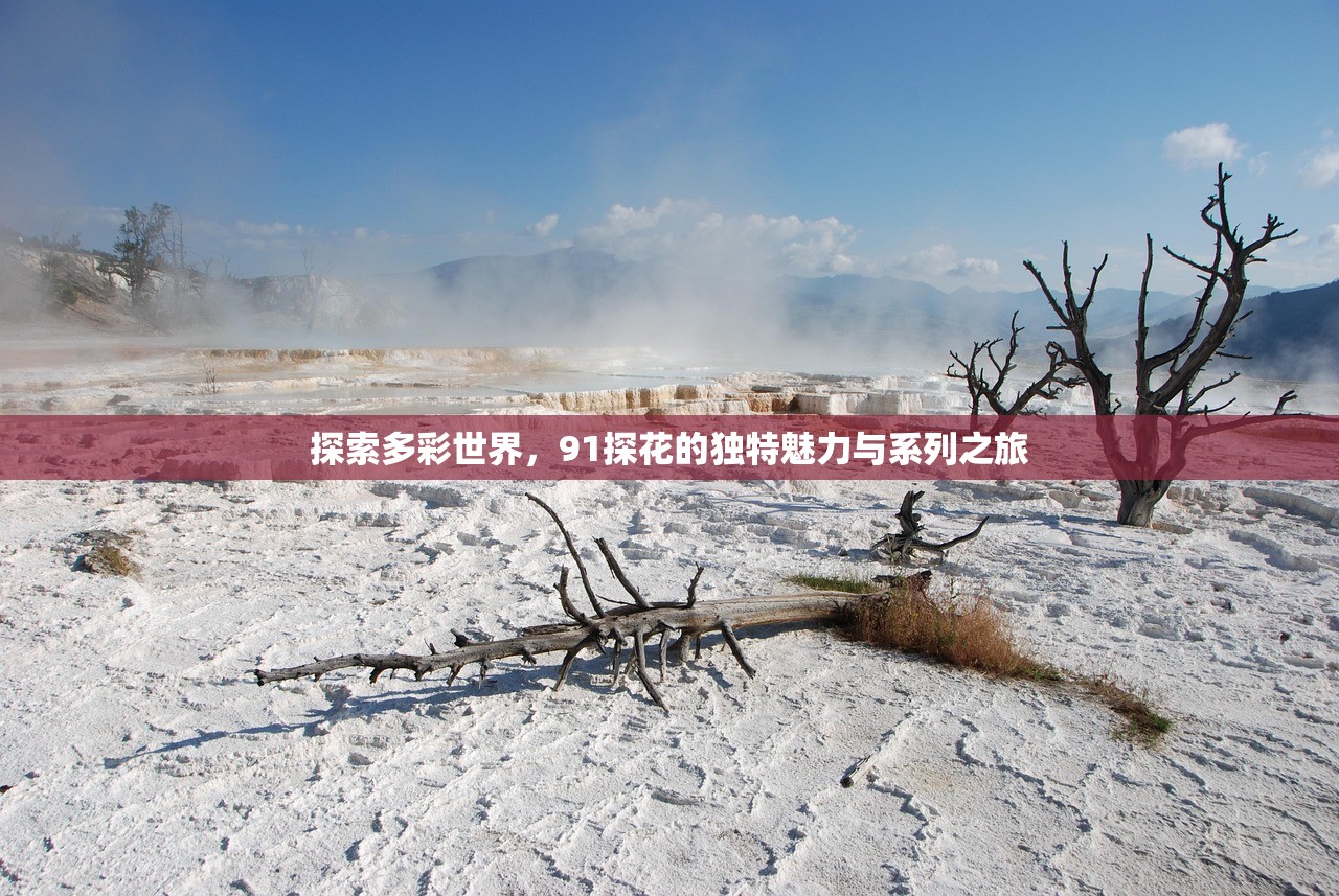 探索多彩世界，91探花的独特魅力与系列之旅