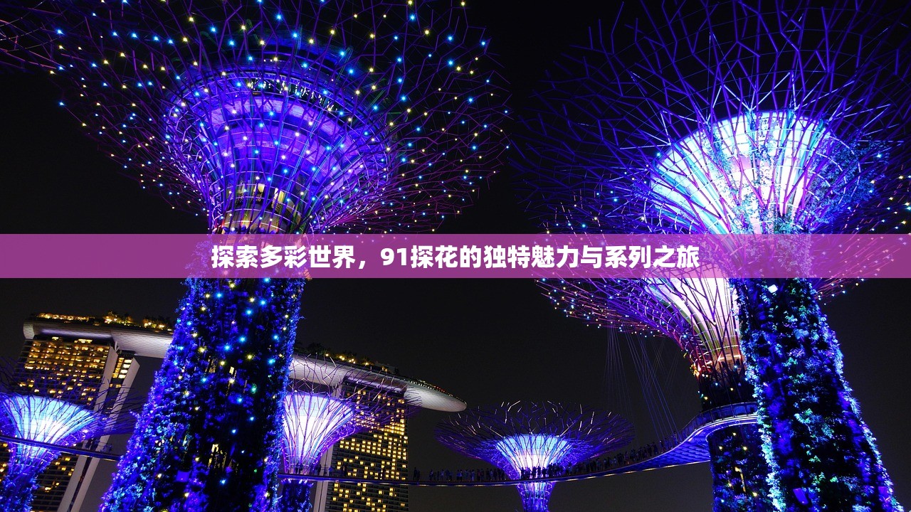 探索多彩世界，91探花的独特魅力与系列之旅