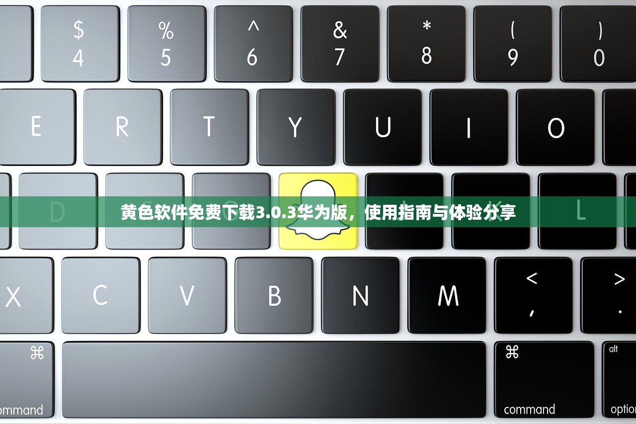 黄色软件免费下载3.0.3华为版，使用指南与体验分享
