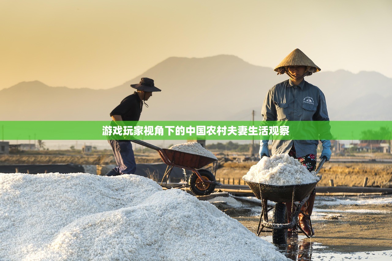 游戏玩家视角下的中国农村夫妻生活观察