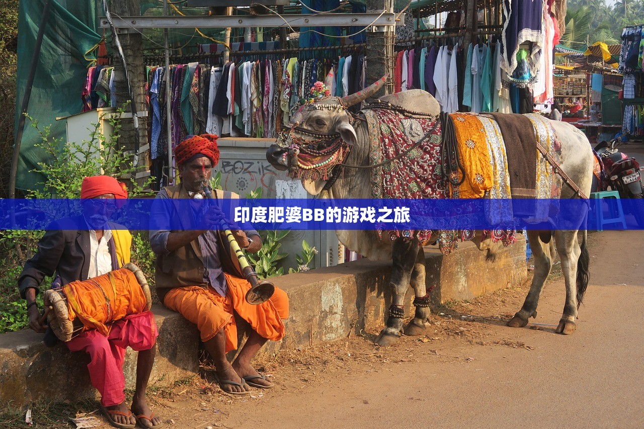 印度肥婆BB的游戏之旅