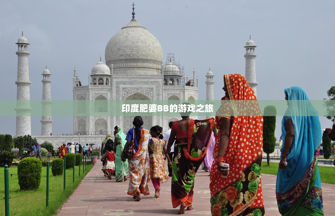印度肥婆BB的游戏之旅