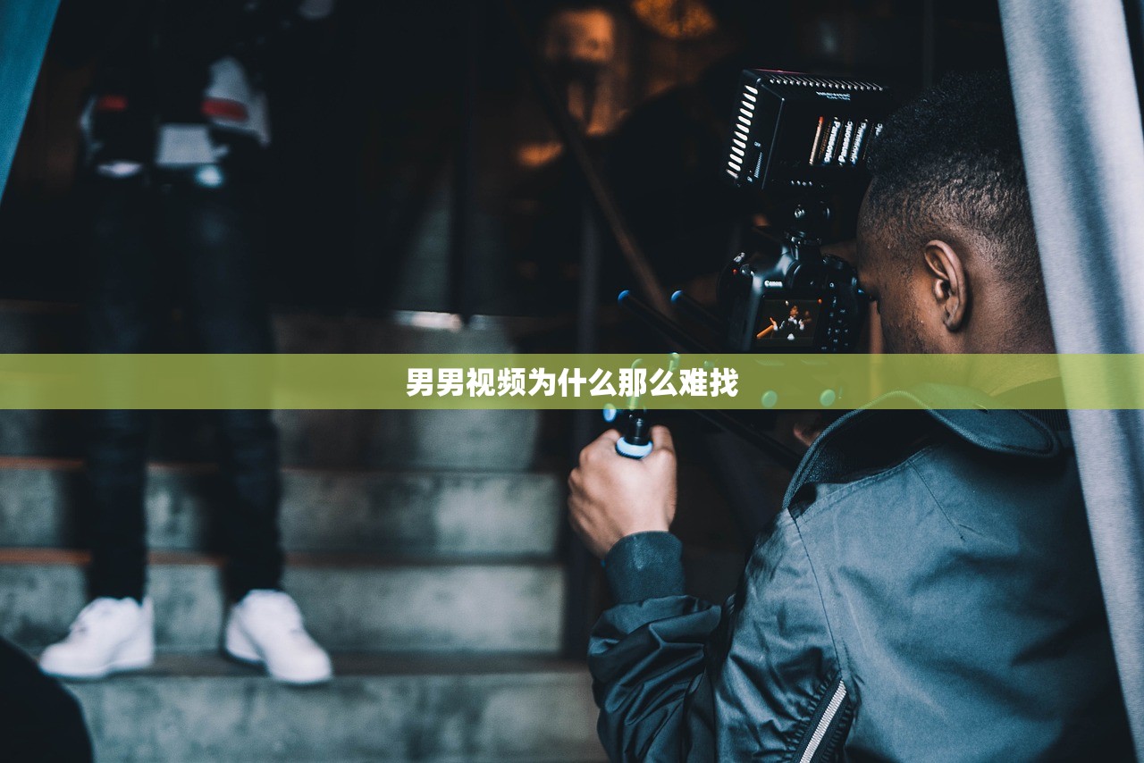 男男视频为什么那么难找