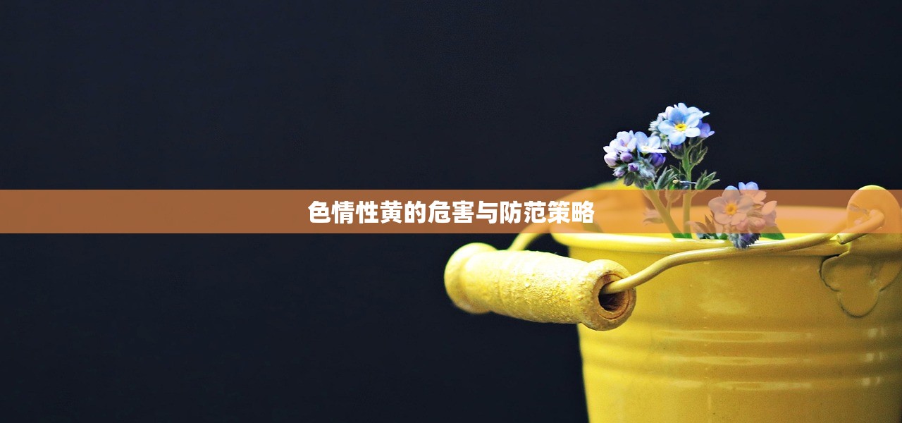 色情性黄的危害与防范策略