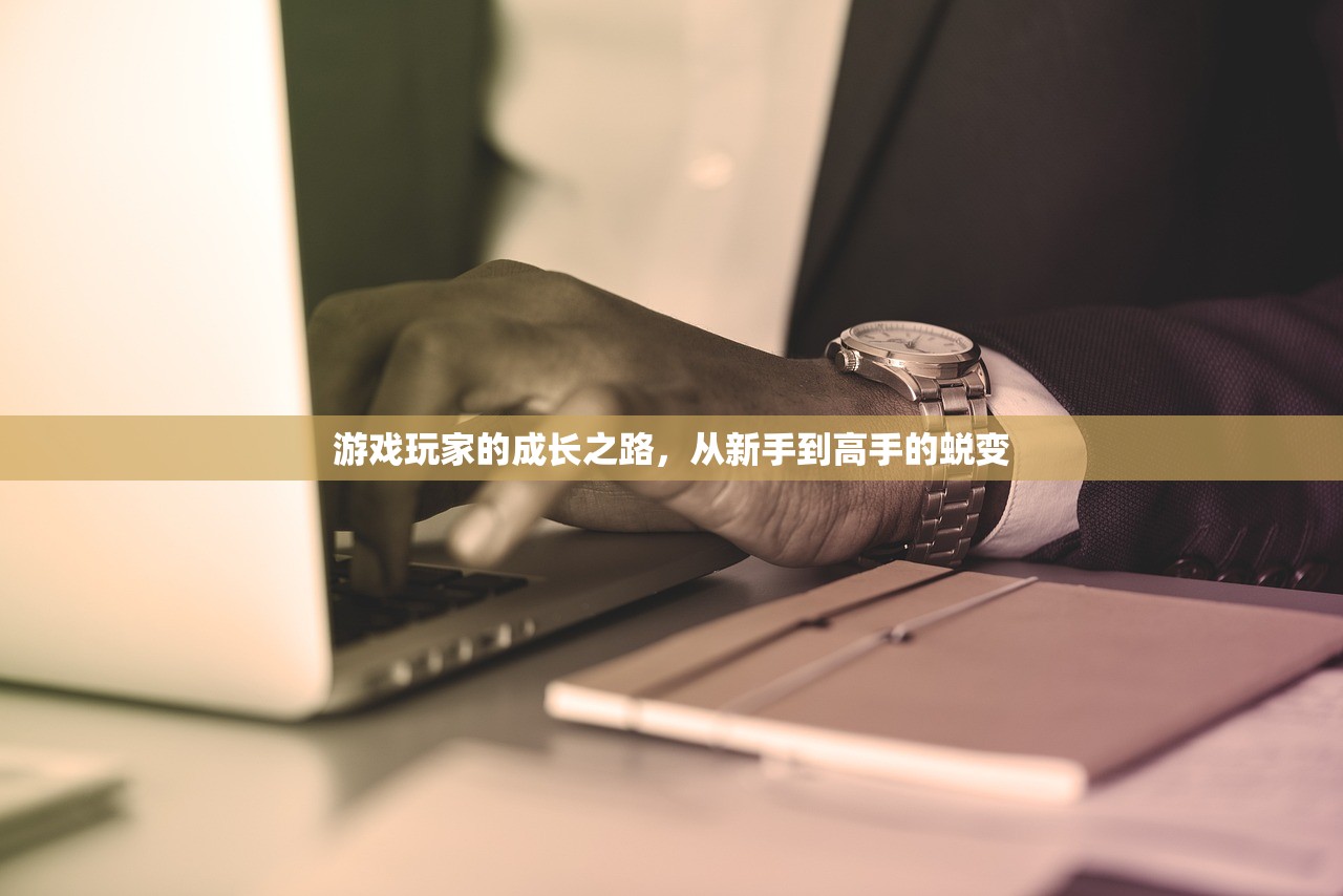 游戏玩家的成长之路，从新手到高手的蜕变