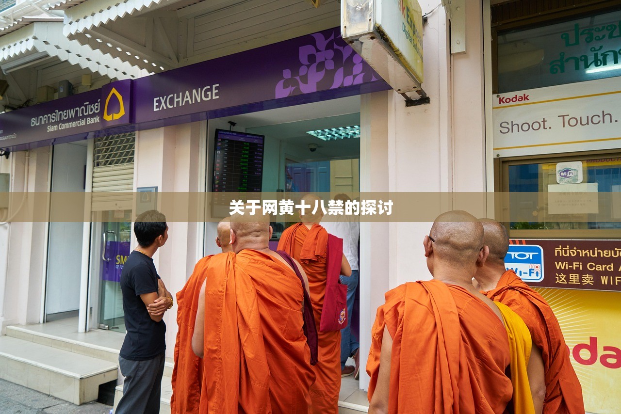 关于网黄十八禁的探讨