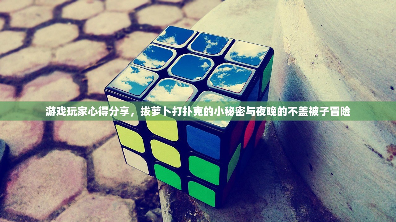 游戏玩家心得分享，拔萝卜打扑克的小秘密与夜晚的不盖被子冒险