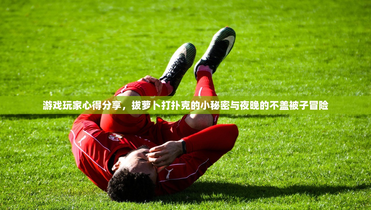 游戏玩家心得分享，拔萝卜打扑克的小秘密与夜晚的不盖被子冒险