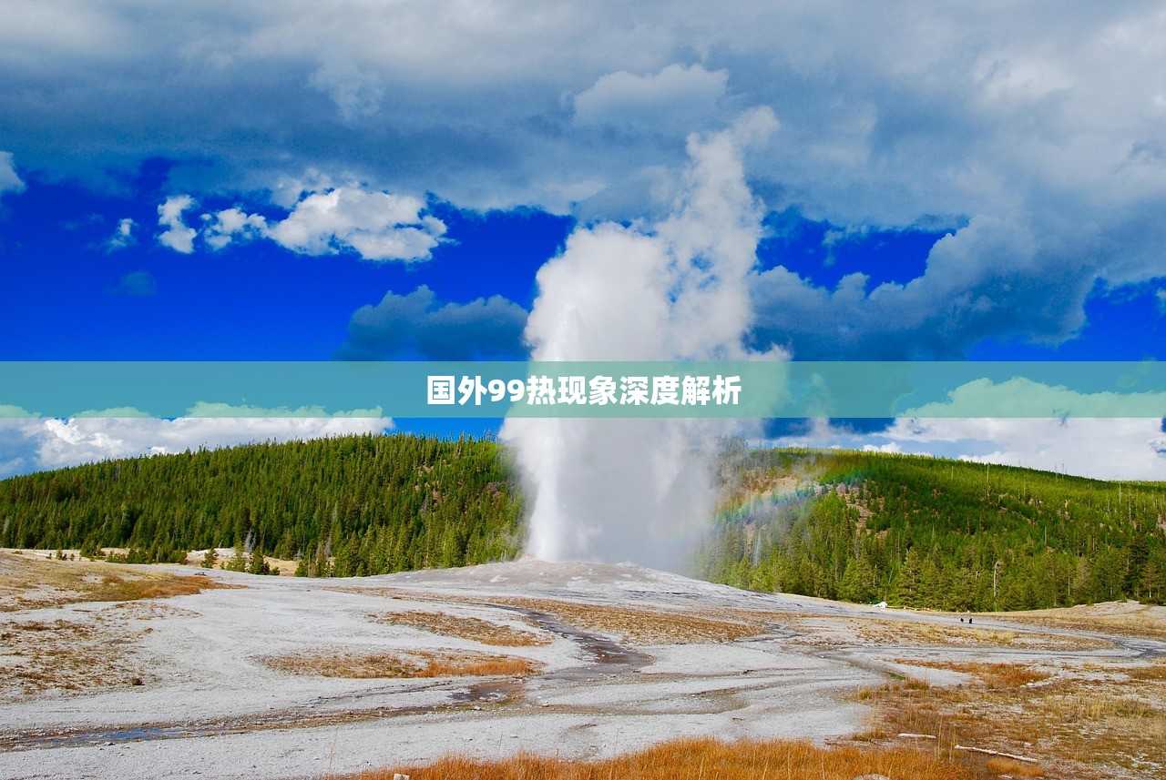 国外99热现象深度解析
