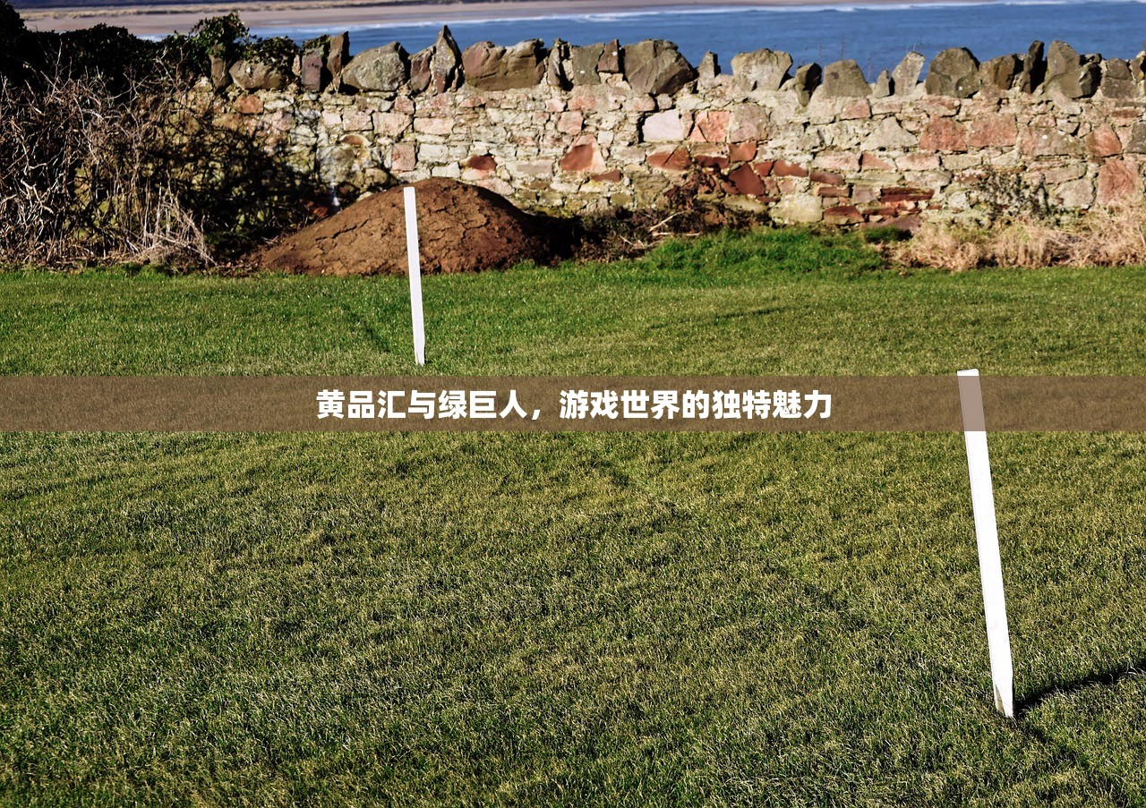 黄品汇与绿巨人，游戏世界的独特魅力