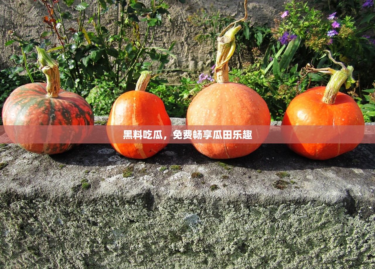 黑料吃瓜，免费畅享瓜田乐趣