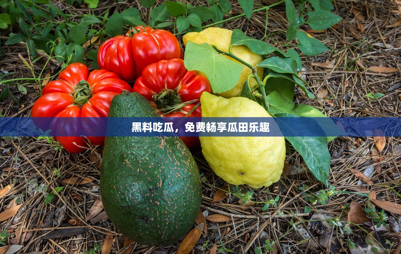 黑料吃瓜，免费畅享瓜田乐趣
