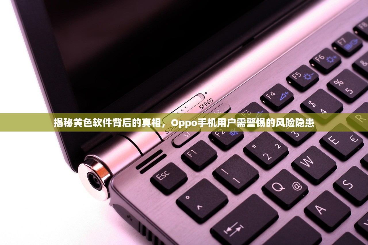 揭秘黄色软件背后的真相，Oppo手机用户需警惕的风险隐患