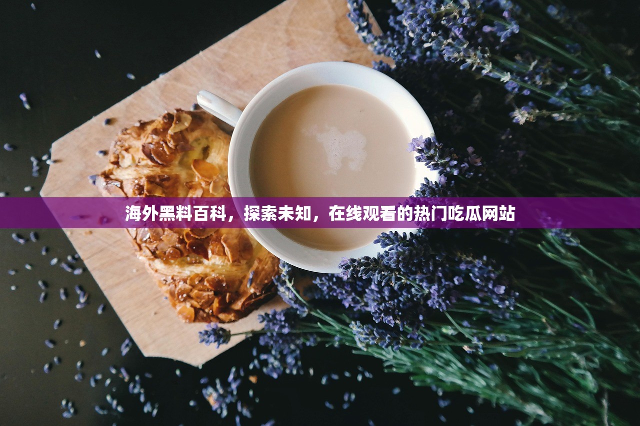 海外黑料百科，探索未知，在线观看的热门吃瓜网站