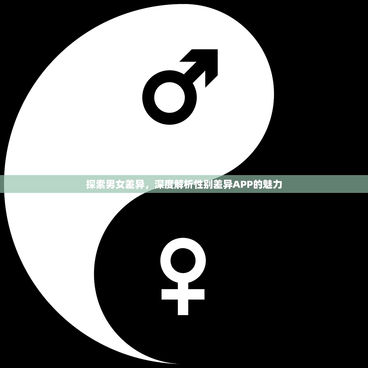 探索男女差异，深度解析性别差异APP的魅力