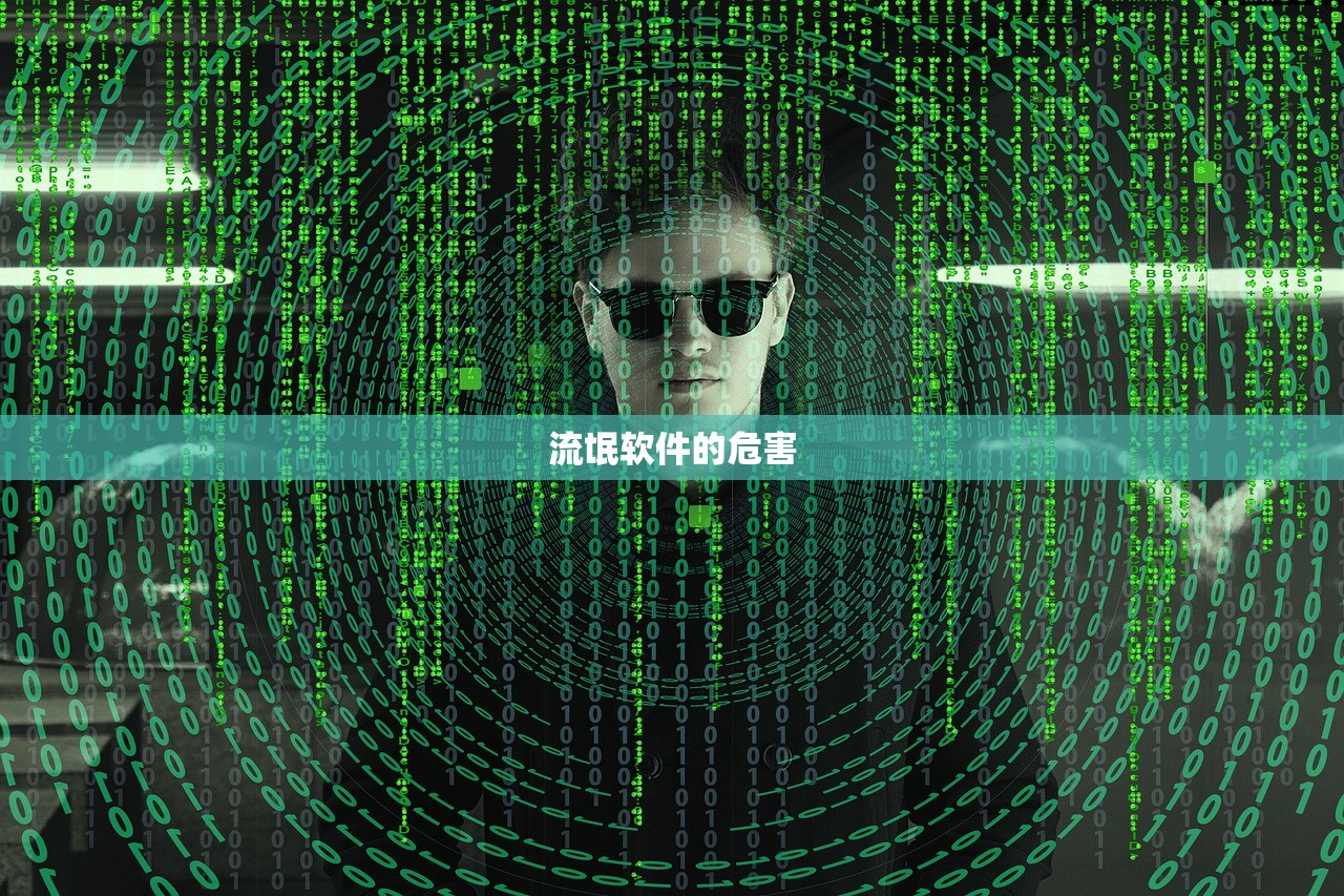 流氓软件的危害