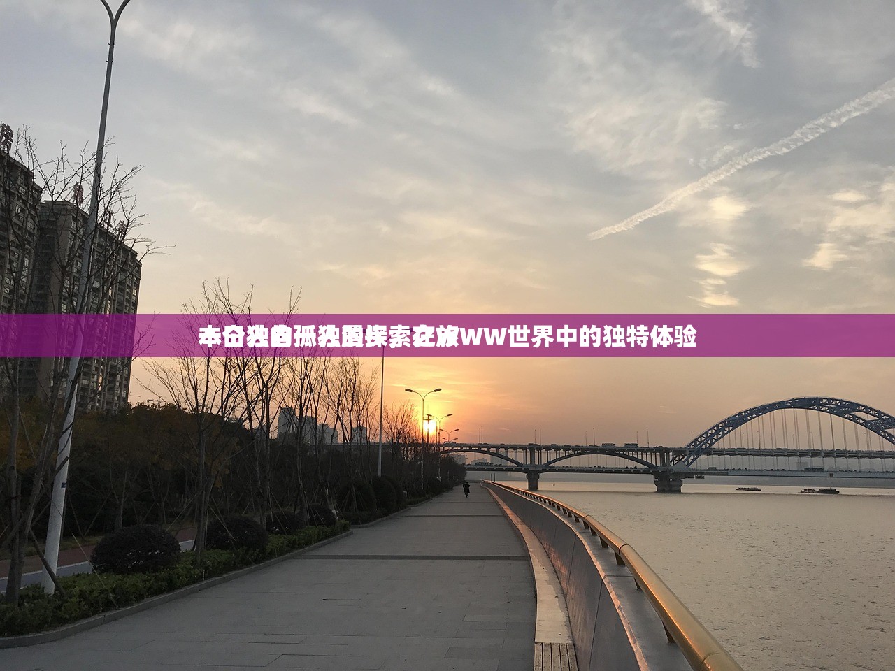 本日独自一人的探索之旅
一个人的孤独漫步，在WWW世界中的独特体验