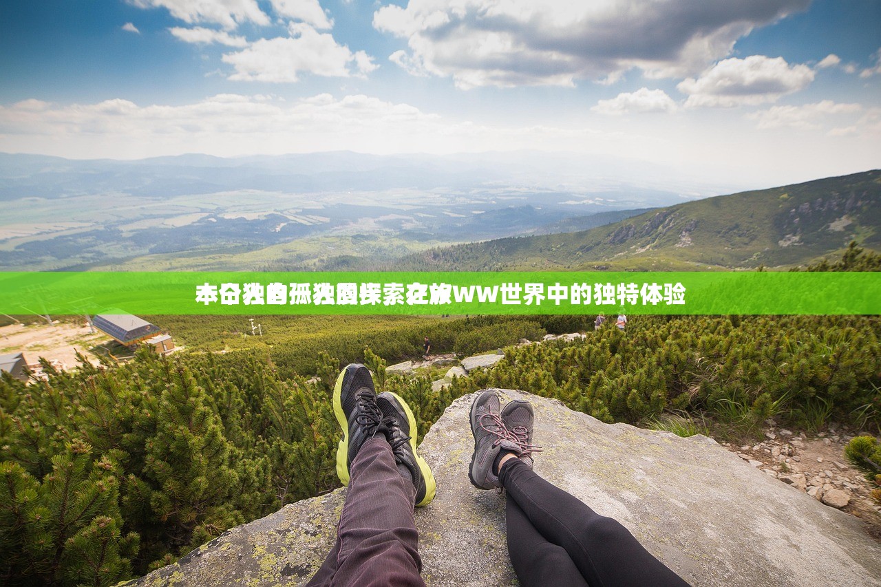 本日独自一人的探索之旅
一个人的孤独漫步，在WWW世界中的独特体验