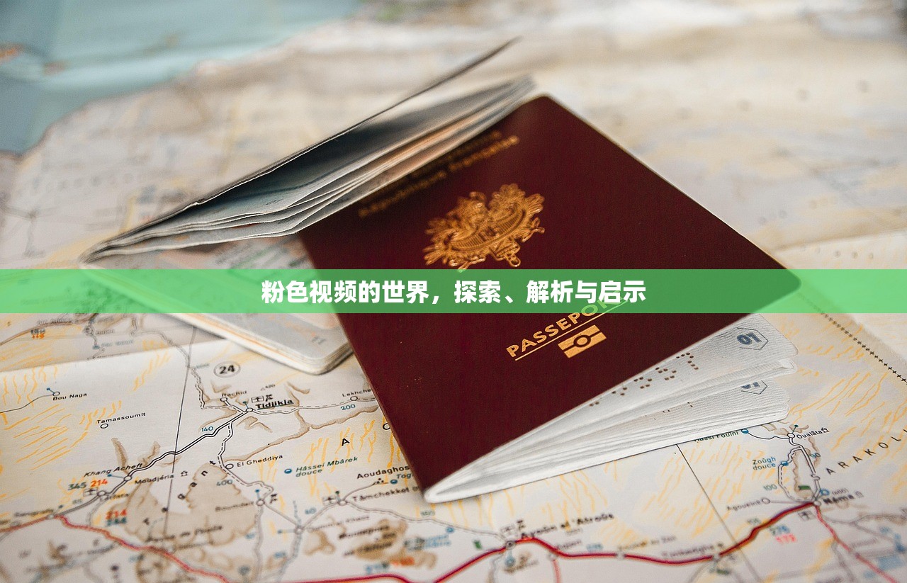 粉色视频的世界，探索、解析与启示