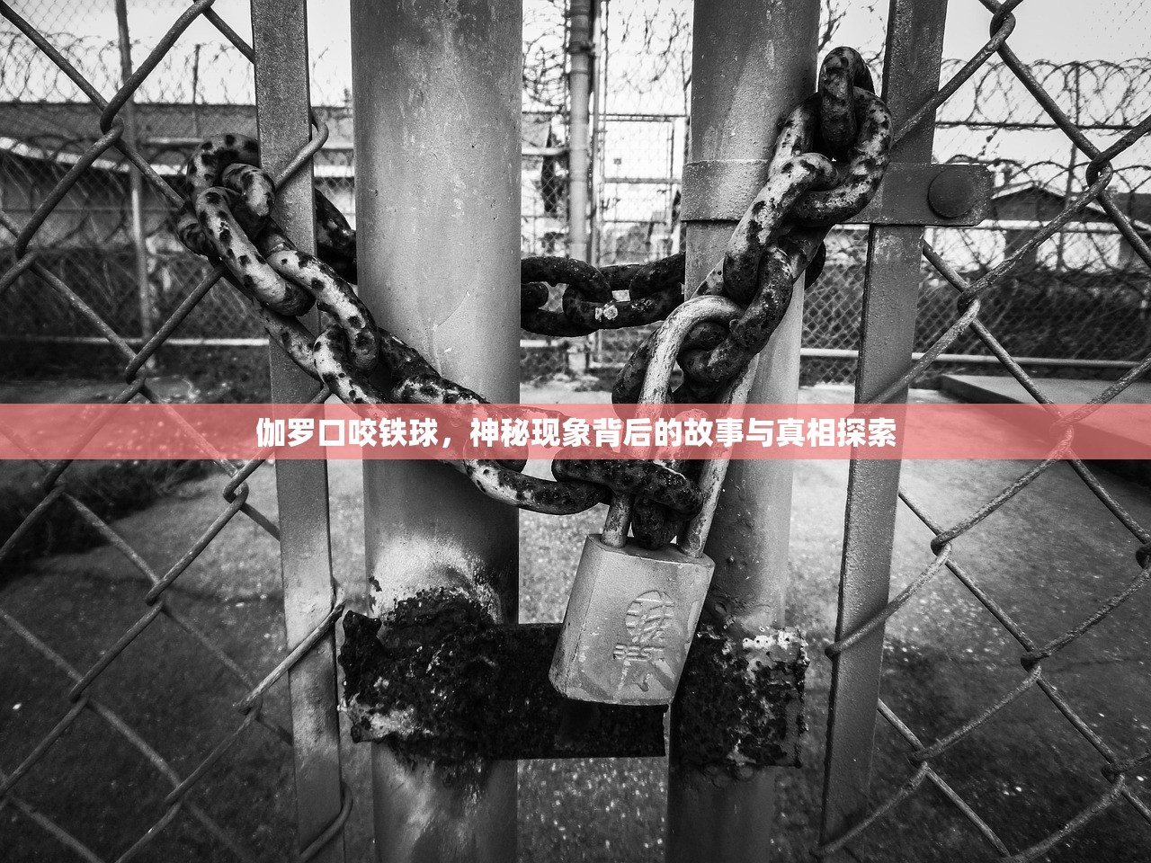 伽罗口咬铁球，神秘现象背后的故事与真相探索
