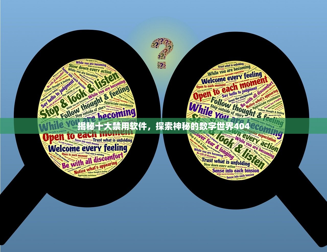 揭秘十大禁用软件，探索神秘的数字世界404