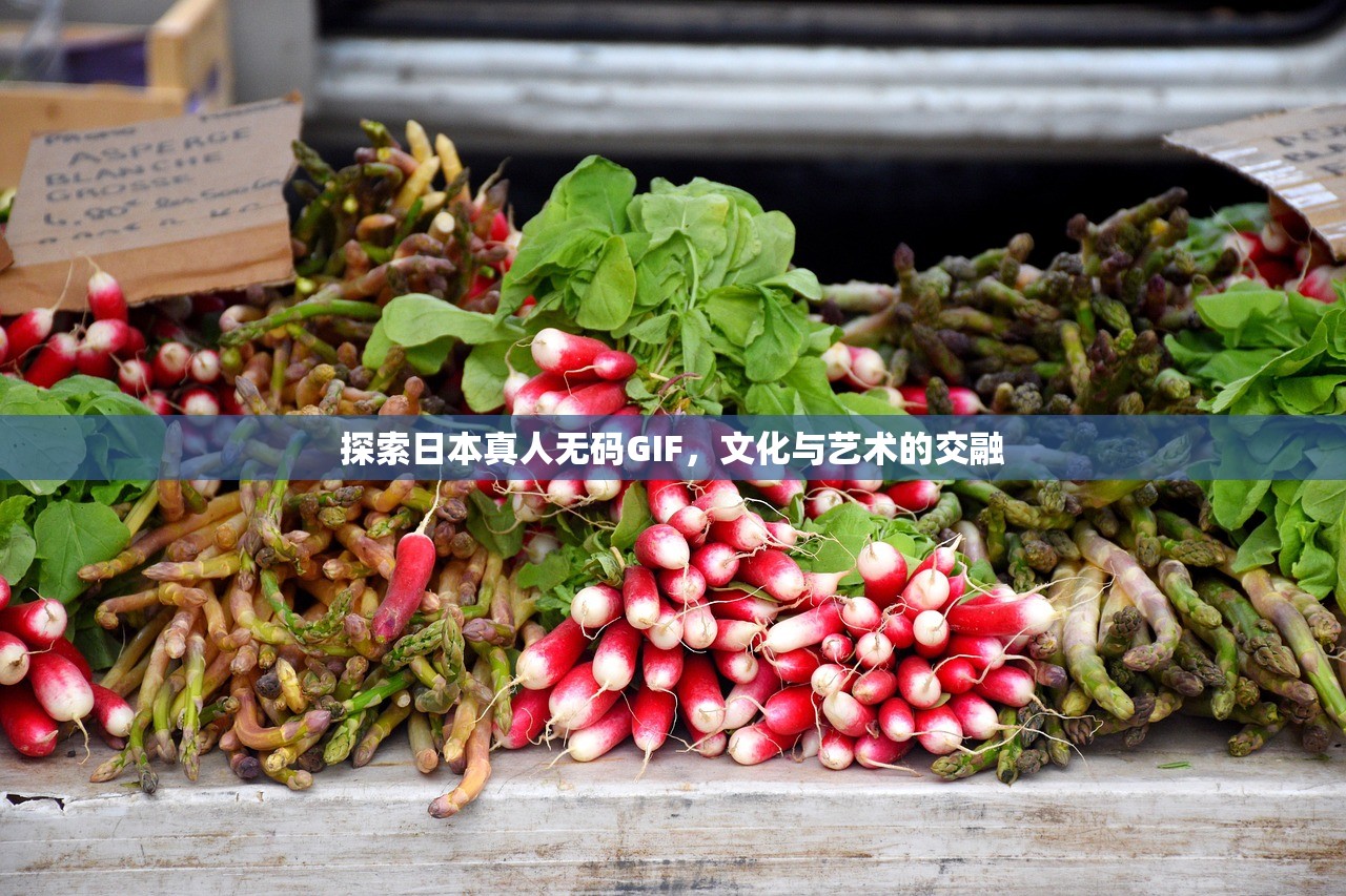 探索日本真人无码GIF，文化与艺术的交融