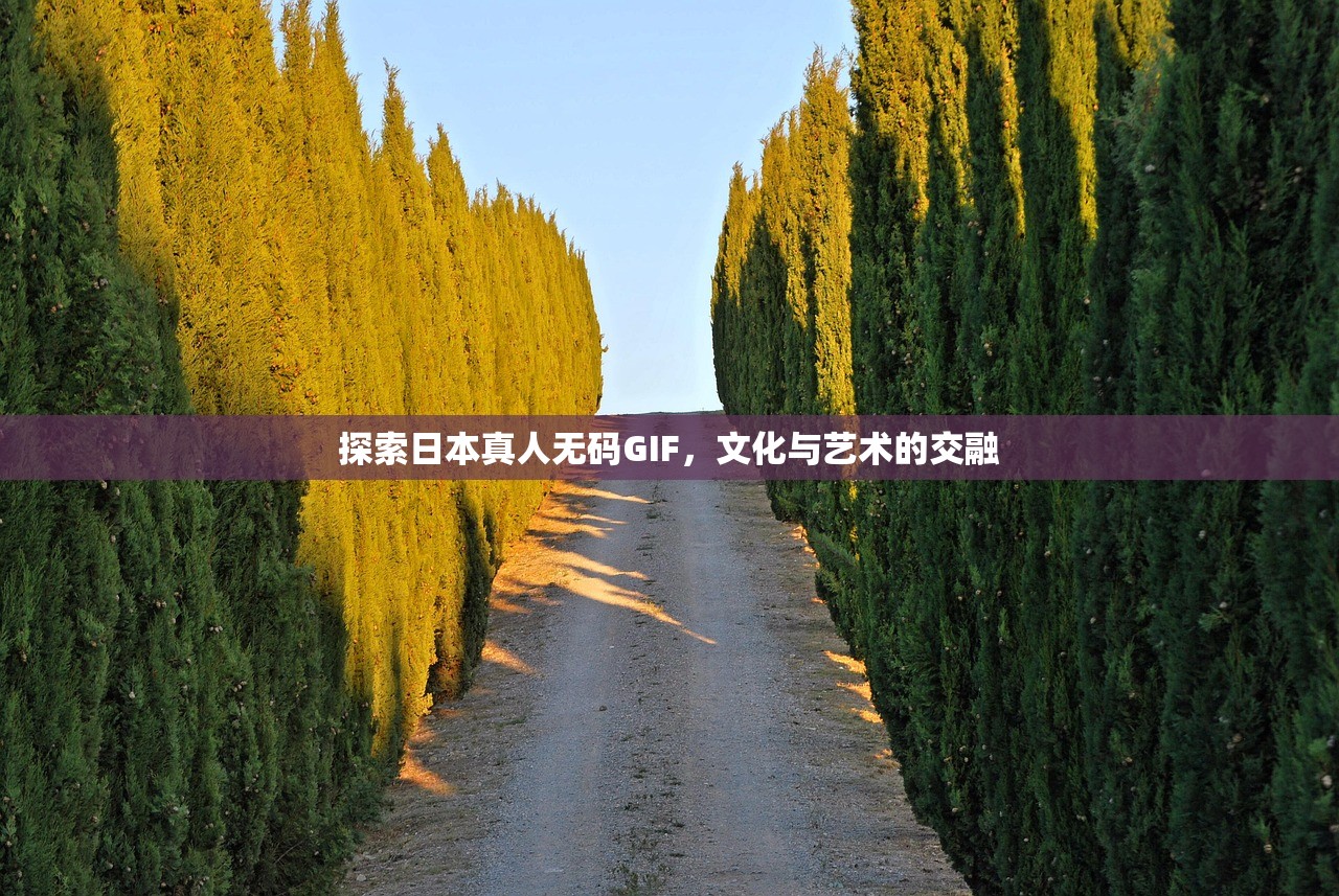 探索日本真人无码GIF，文化与艺术的交融