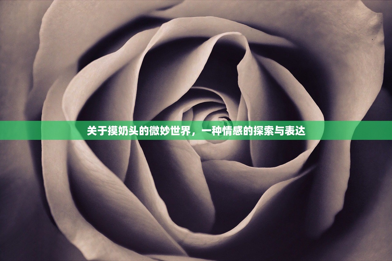 关于摸奶头的微妙世界，一种情感的探索与表达