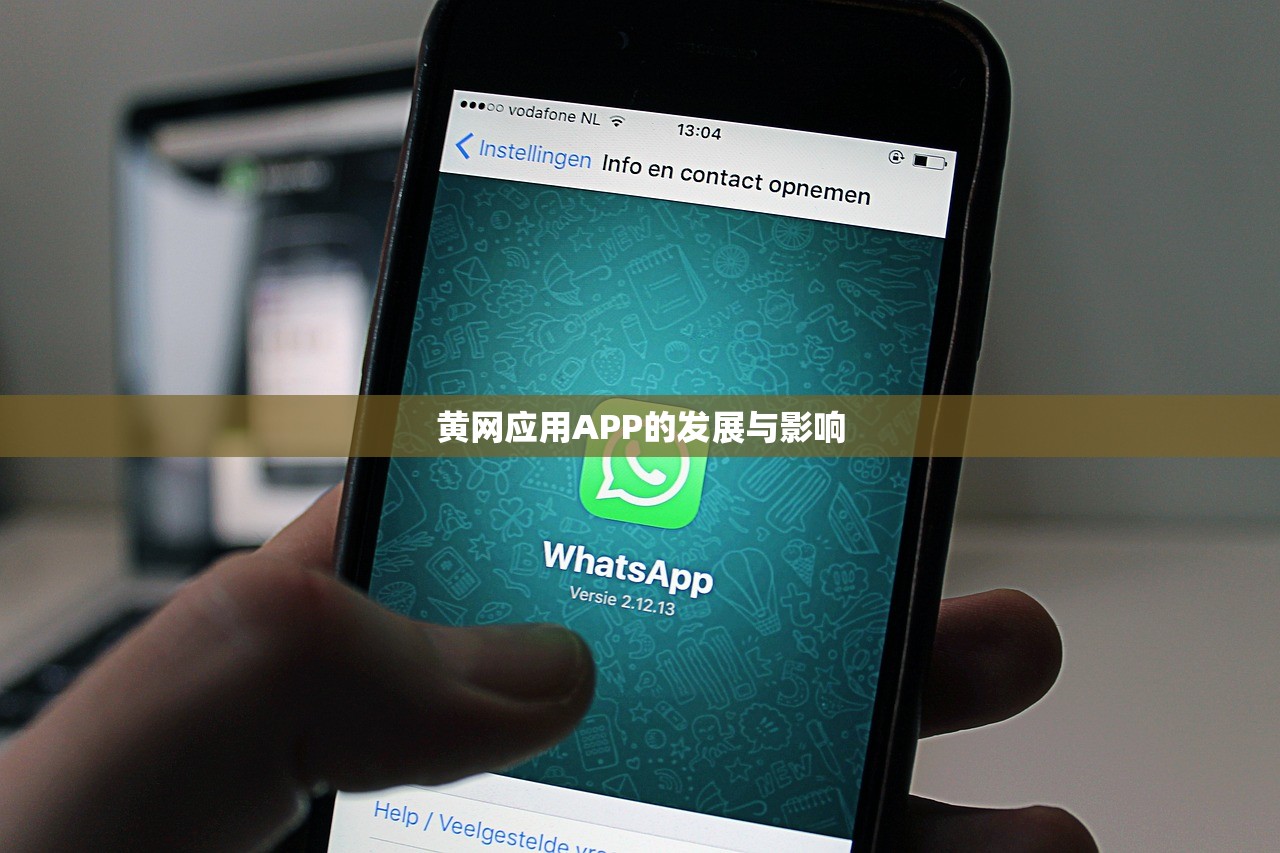 黄网应用APP的发展与影响
