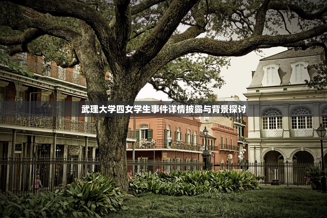 武理大学四女学生事件详情披露与背景探讨