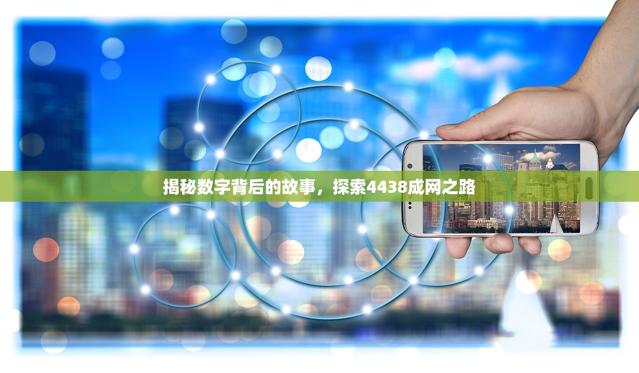 揭秘数字背后的故事，探索4438成网之路
