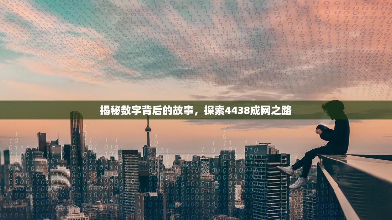 揭秘数字背后的故事，探索4438成网之路