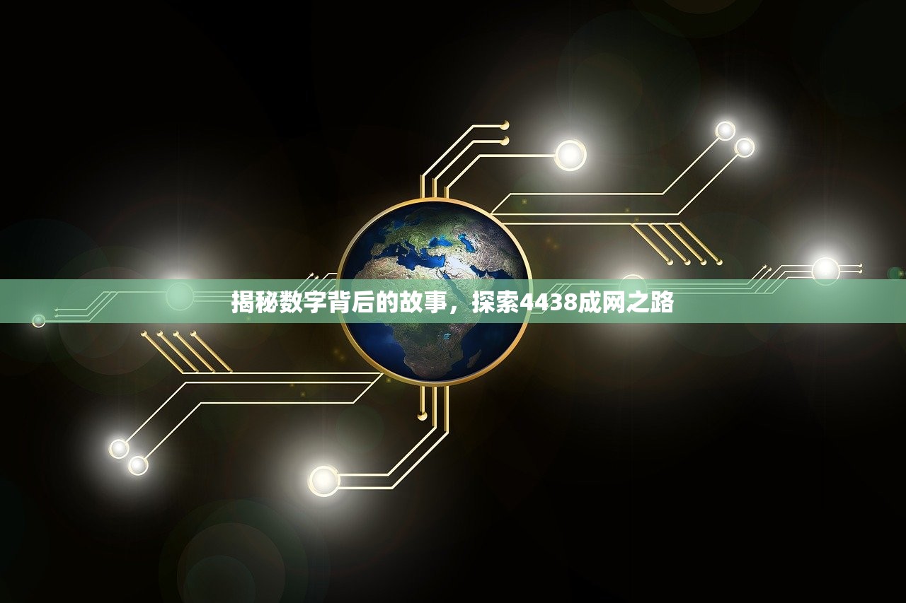 揭秘数字背后的故事，探索4438成网之路