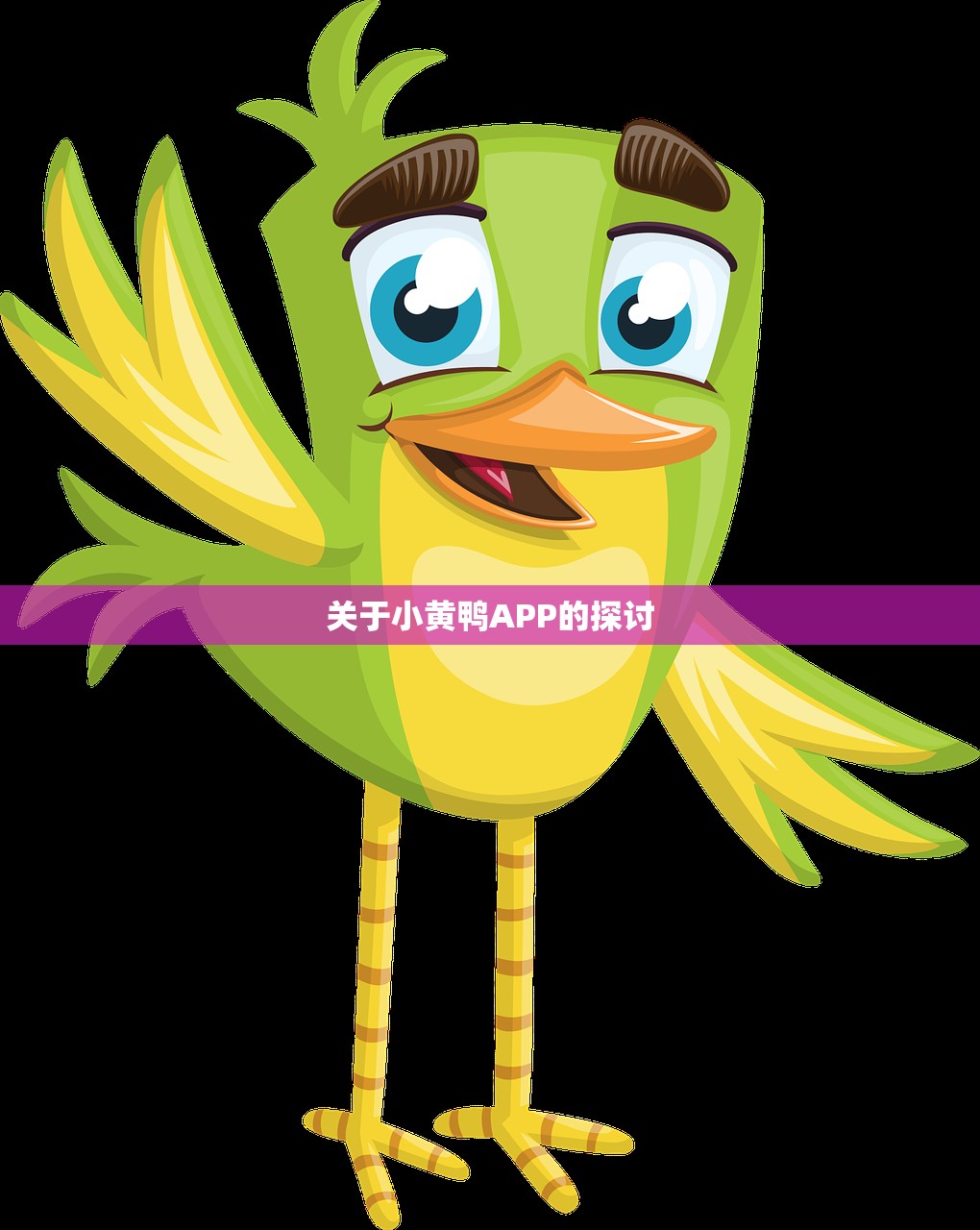 关于小黄鸭APP的探讨