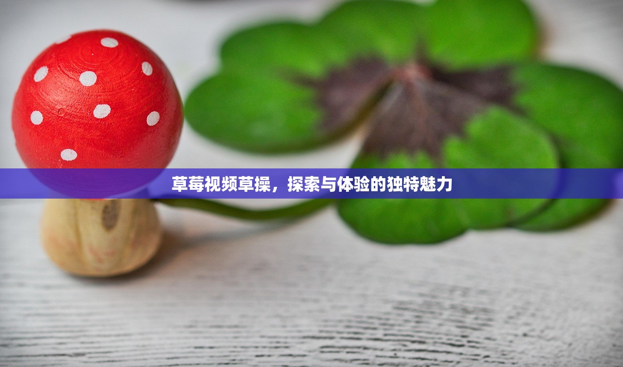草莓视频草操，探索与体验的独特魅力
