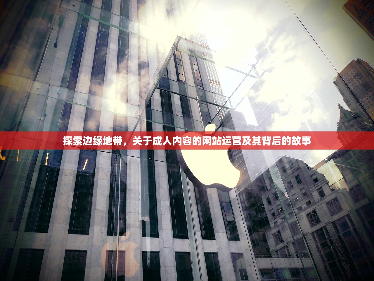 探索边缘地带，关于成人内容的网站运营及其背后的故事