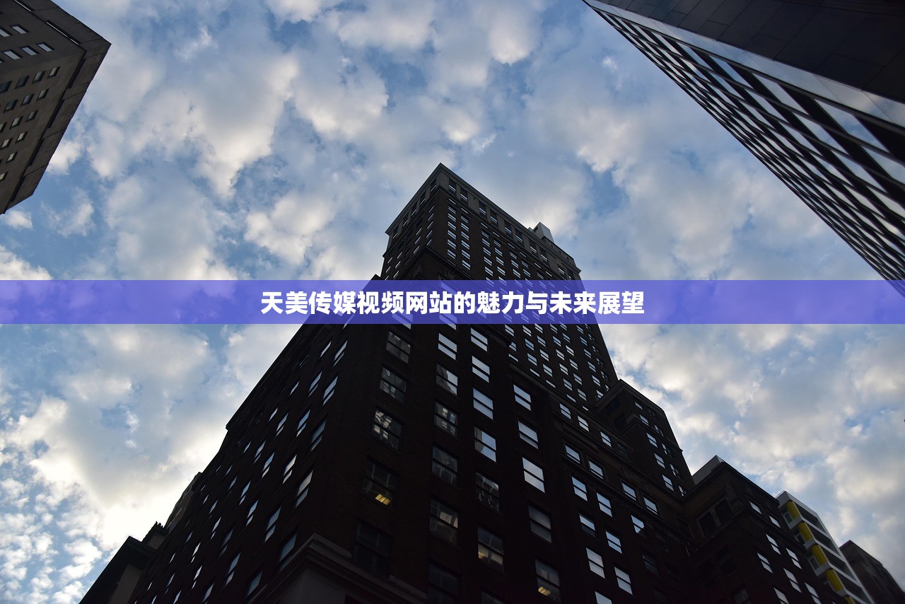 天美传媒视频网站的魅力与未来展望