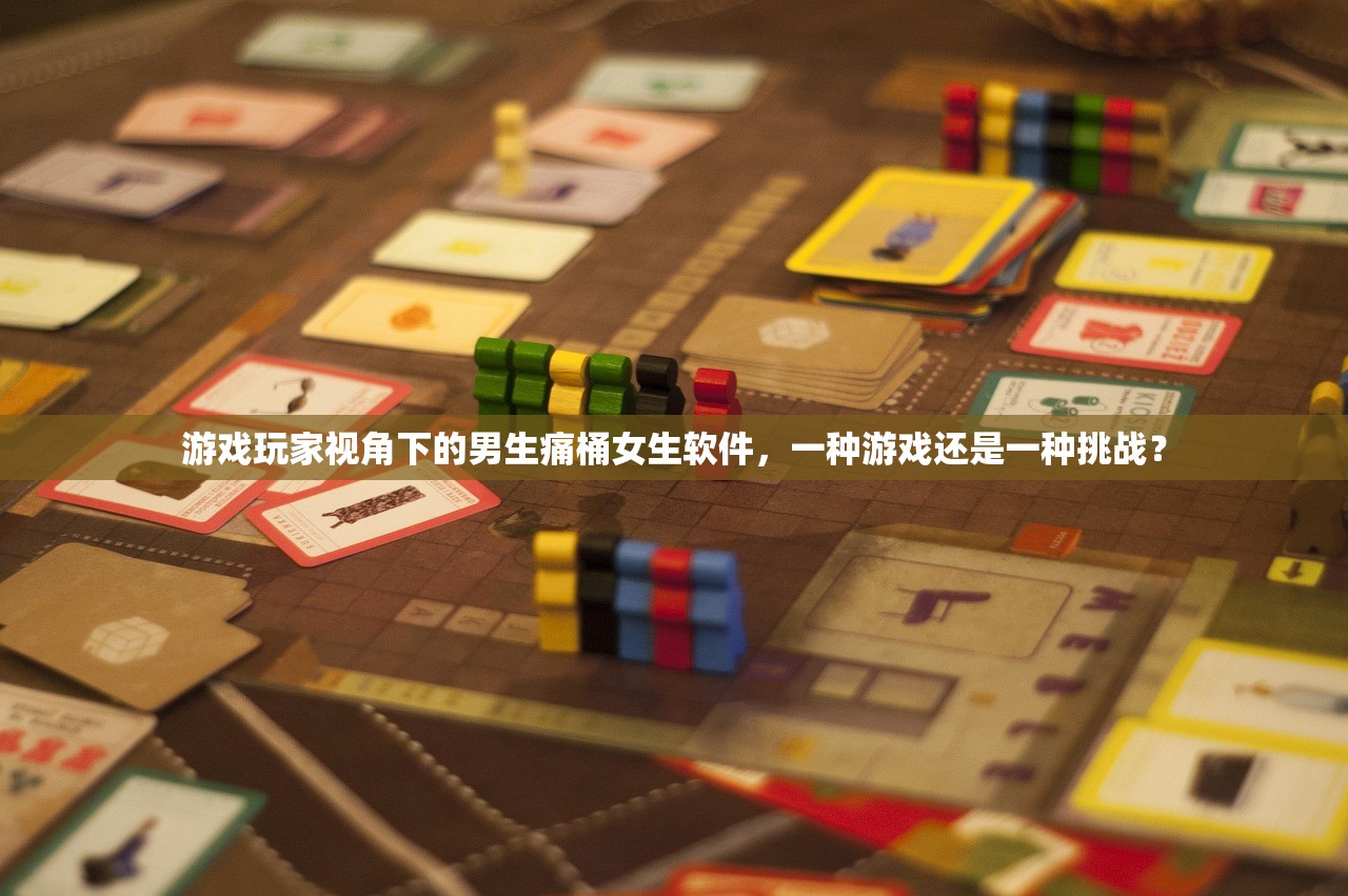 游戏玩家视角下的男生痛桶女生软件，一种游戏还是一种挑战？