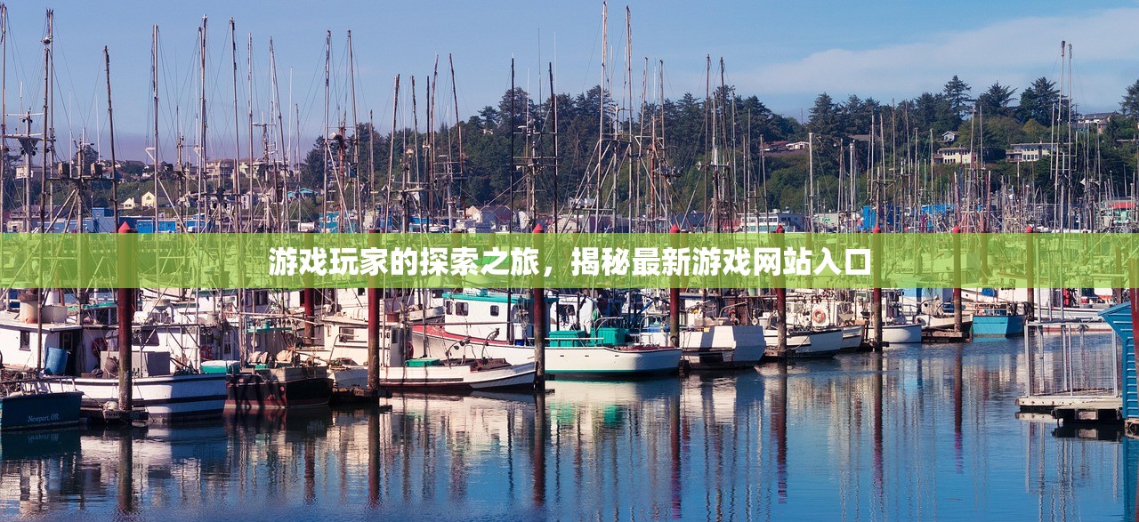 游戏玩家的探索之旅，揭秘最新游戏网站入口
