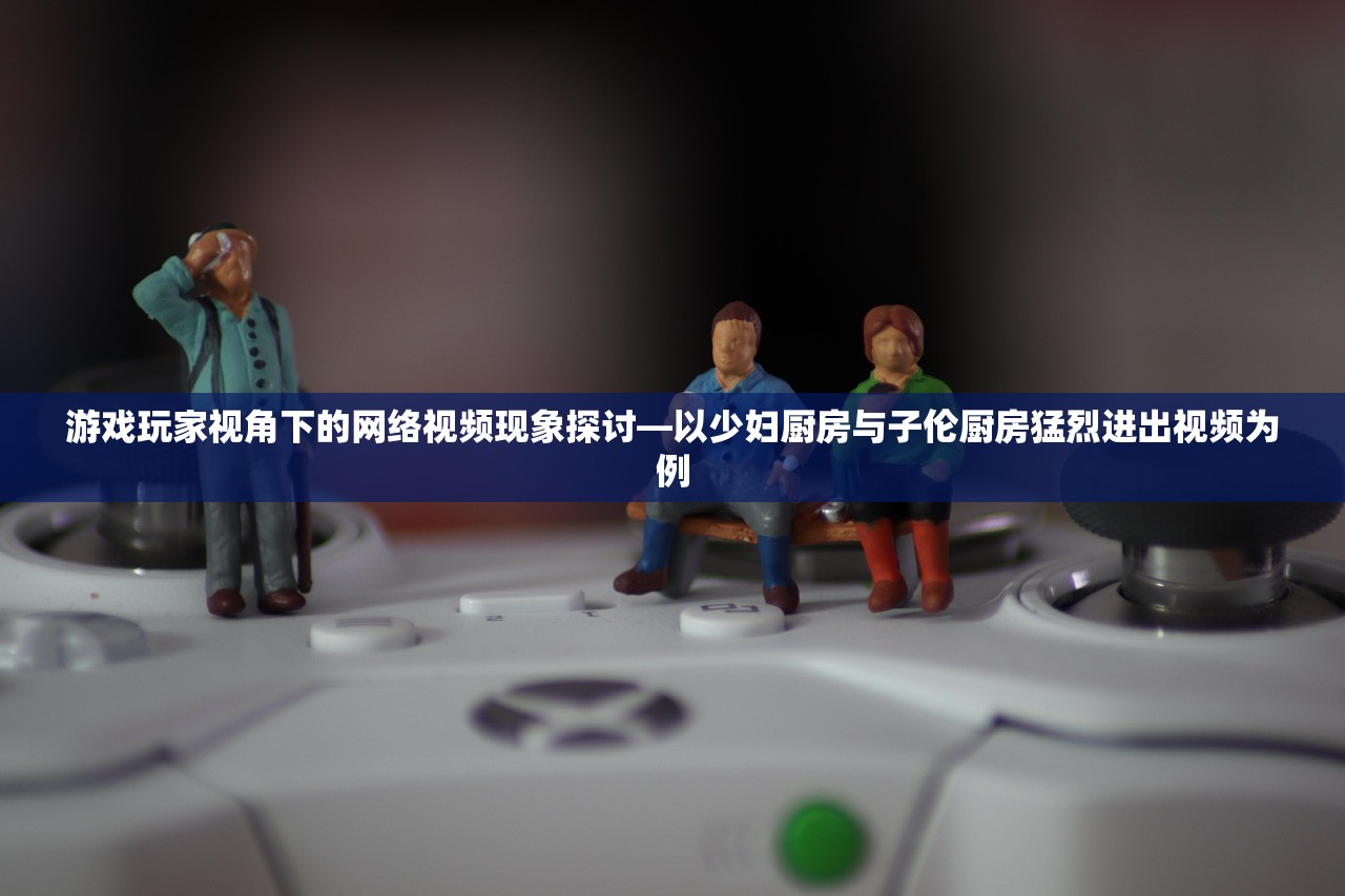 游戏玩家视角下的网络视频现象探讨—以少妇厨房与子伦厨房猛烈进出视频为例