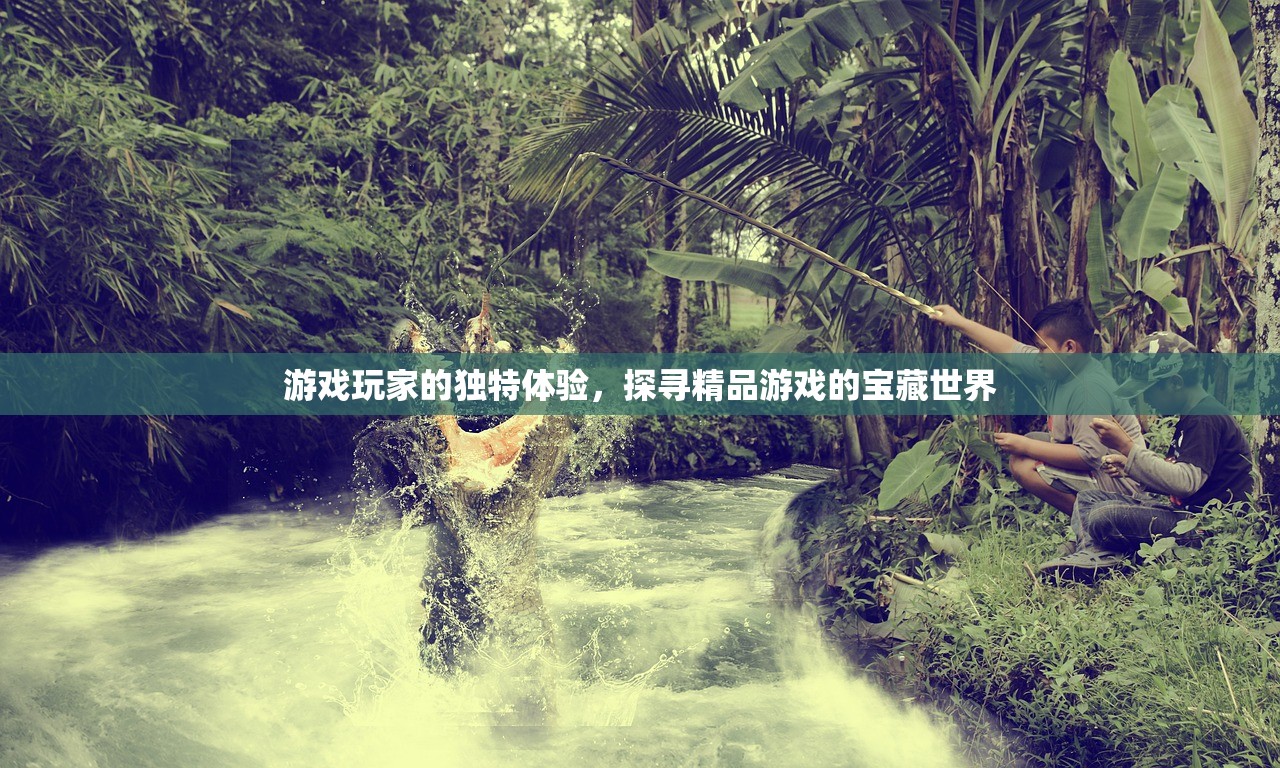 游戏玩家的独特体验，探寻精品游戏的宝藏世界