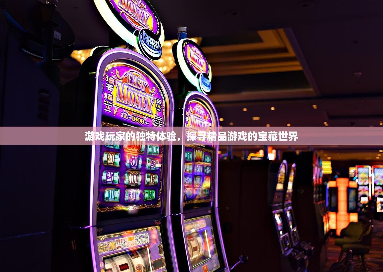 游戏玩家的独特体验，探寻精品游戏的宝藏世界