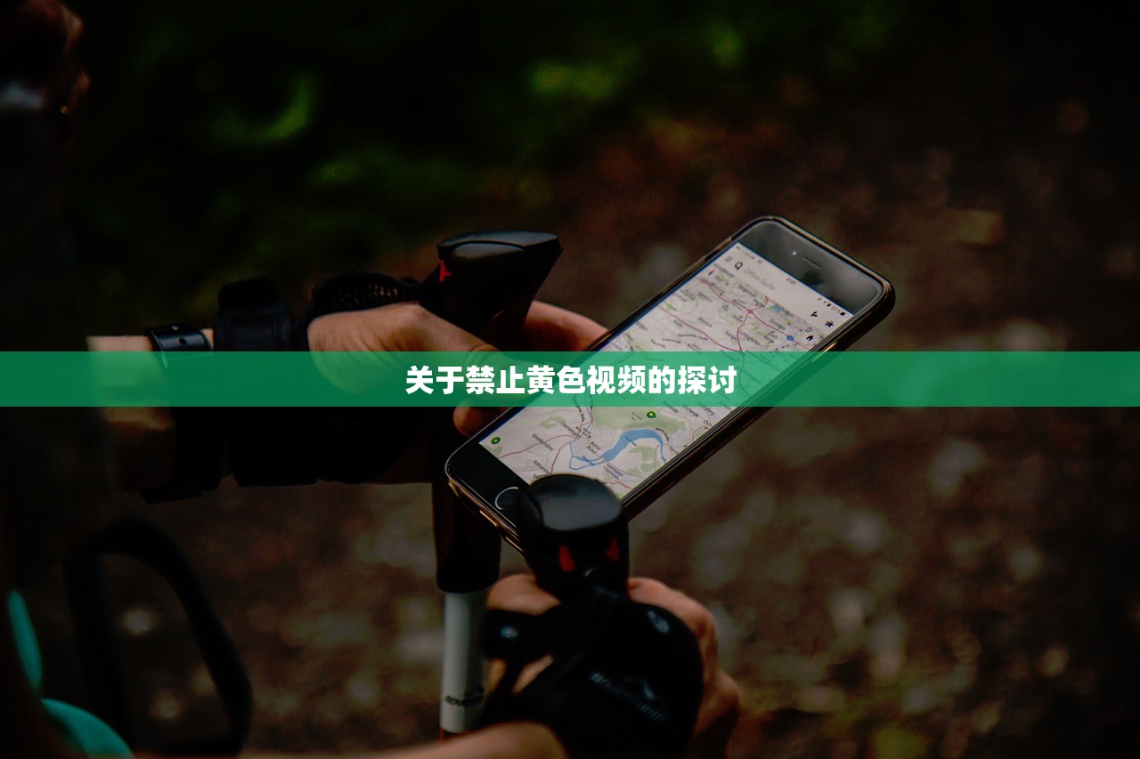 关于禁止黄色视频的探讨