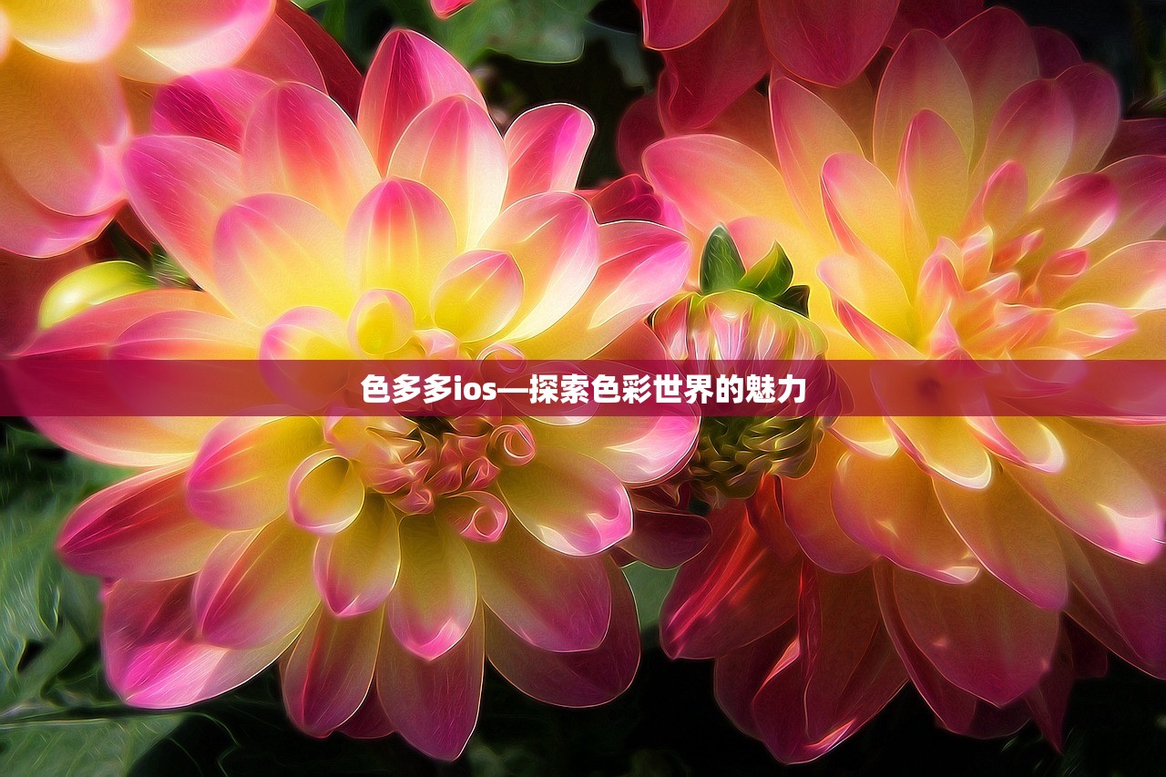 色多多ios—探索色彩世界的魅力