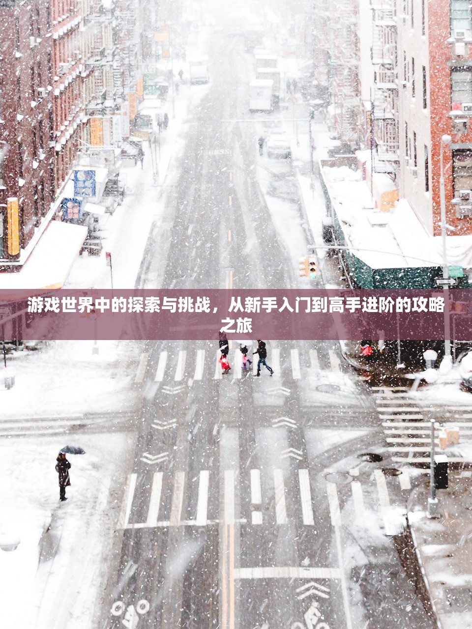 游戏世界中的探索与挑战，从新手入门到高手进阶的攻略之旅