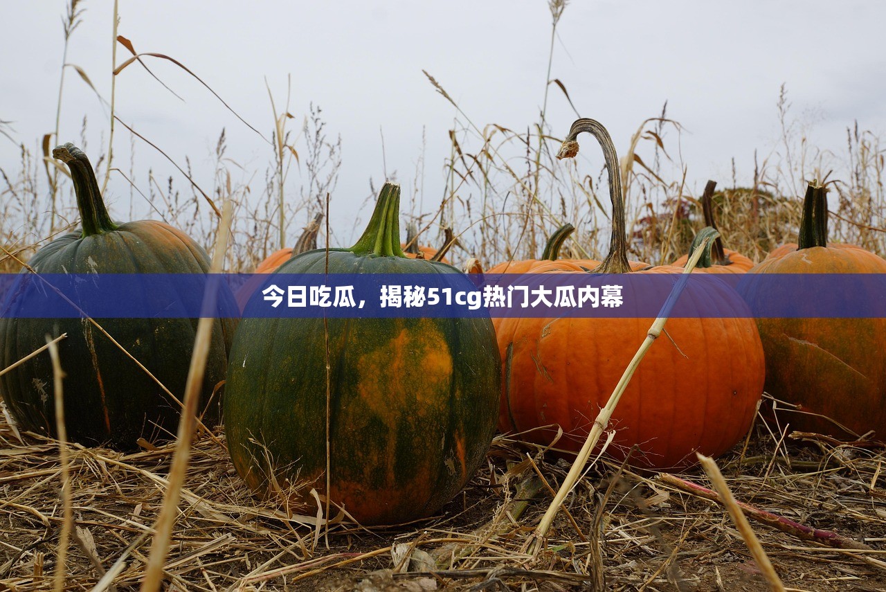 今日吃瓜，揭秘51cg热门大瓜内幕