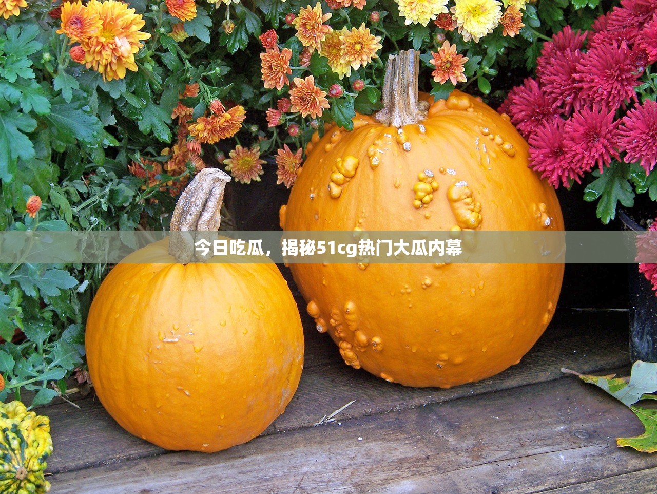 今日吃瓜，揭秘51cg热门大瓜内幕