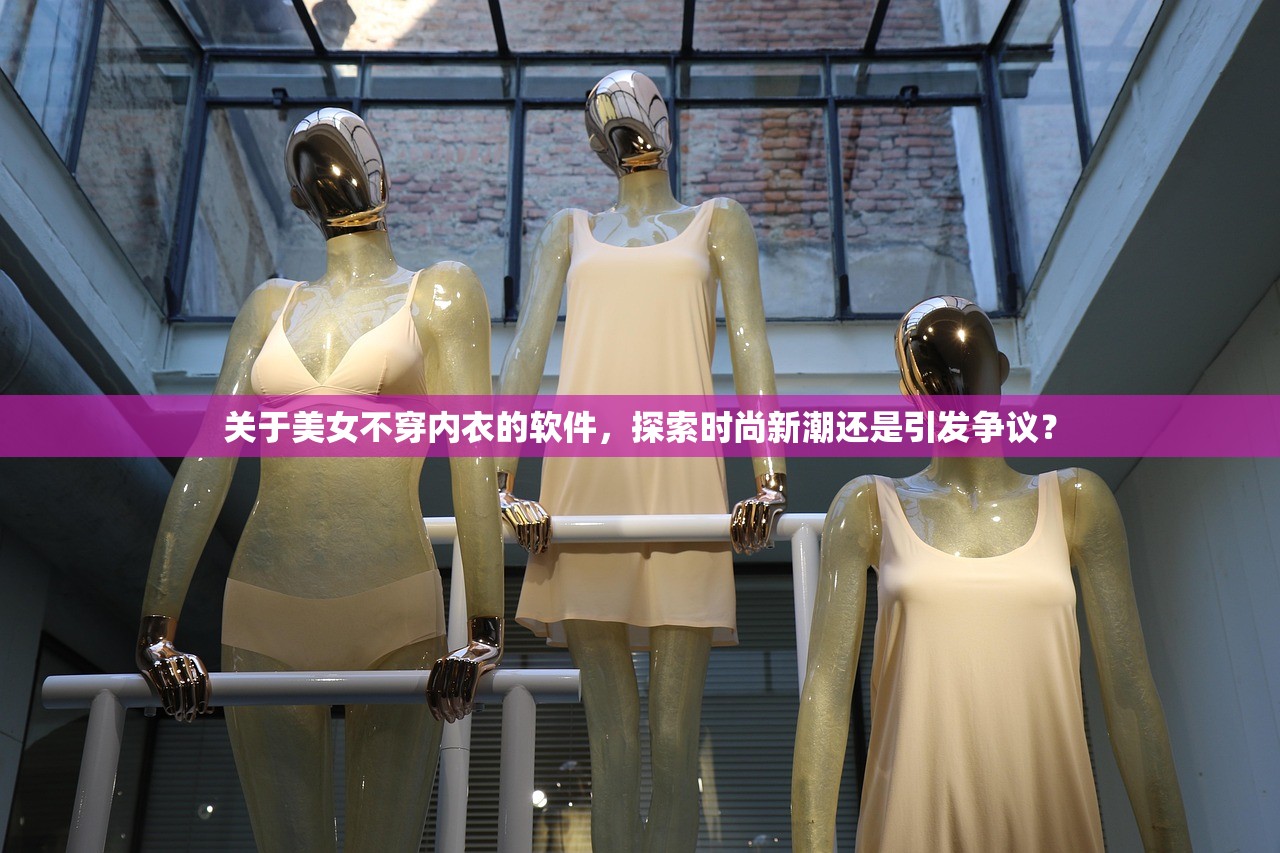 关于美女不穿内衣的软件，探索时尚新潮还是引发争议？