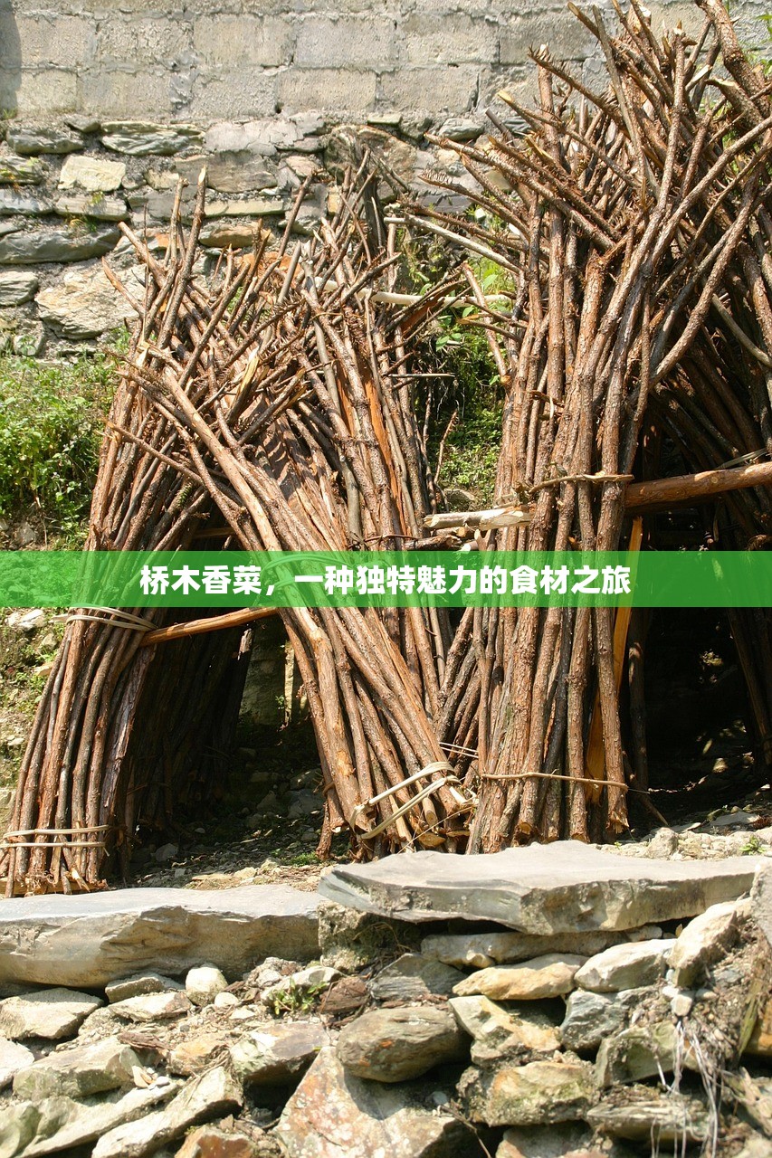 桥木香菜，一种独特魅力的食材之旅